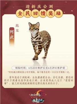 天龙八部私服幽冥镜